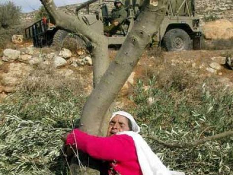 الزرقاء: مهرجان يؤكد عودة الحقوق الفلسطينية إلى أصحابها