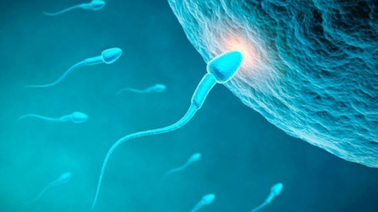 دراسة: انخفاض الخصوبة لدى الرجال تسببه بعض المواد الكيميائية