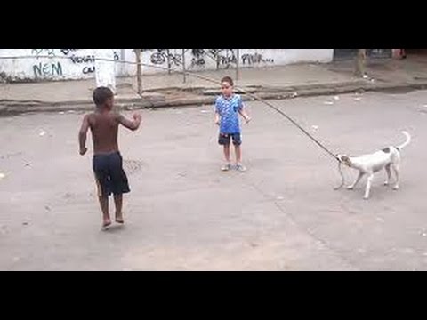 شاهد.. كلب يساعد الأطفال على لعبة القفز