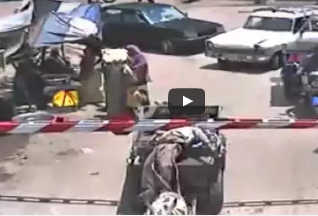 بالفيديو: شاهد كيف نجا سائق "كارو" من موت محقق بسبب حماره