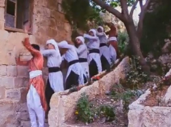 بالفيديو.. رقصة البطريق بالفلسطيني بالفيديو.. رقصة البطريق بالفلسطيني