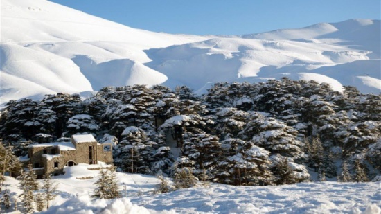 بالصورة- ما تأثير الصقيع على الملابس الداخلية؟