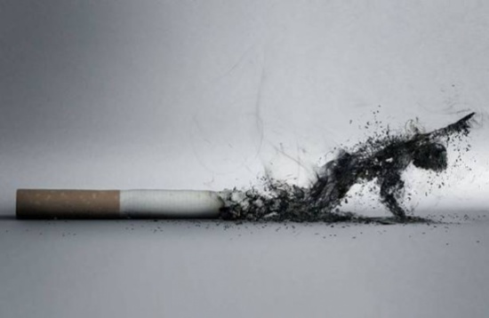 لن تصدقوا عدد المواد السامة الموجودة في دخان السجائر لن تصدقوا عدد المواد السامة الموجودة في دخان السجائر