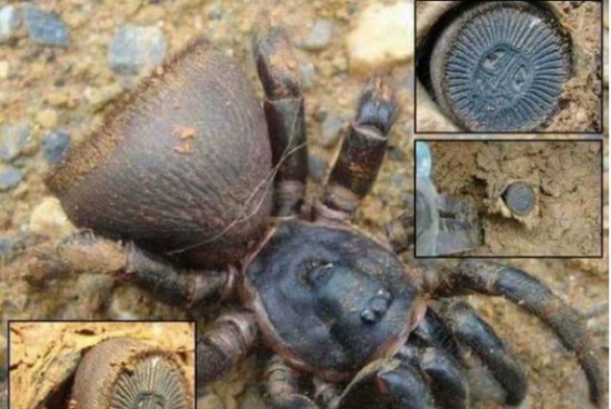 إحذر أن تلمس هذا الشيء.. لأنها ستكون نهايتك الأبدية!