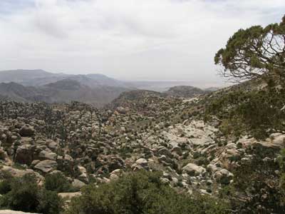 زراعة الطفيلة تنفذ مشروعات زراعية وانتاجية بكلفة 500 الف دينار