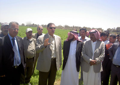 المصري: اعادة تقييم دور الشركات الزراعية في المدروة