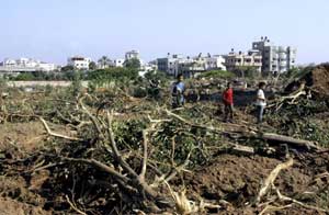 قوات الاحتلال تجرف أراض زراعية شمال خانيونس   