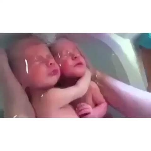 شابة تأكل توأمها! شابة تأكل توأمها!