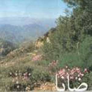 مؤتمر" البيئة لنا وللأجيال القادمة"