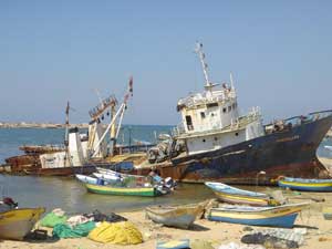 وفد من اللجنة الشعبية لمواجهة الحصار يتفقد أعمال تأهيل ميناء الصيادين 