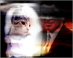 ألماني يتزوج قطة 