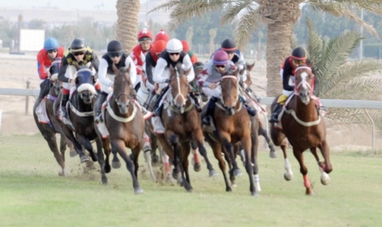 وفد الاولمبياد الخاص يغادر للمشاركة في بطولة فروسية في البحرين وفد الاولمبياد الخاص يغادر للمشاركة في بطولة فروسية في البحرين