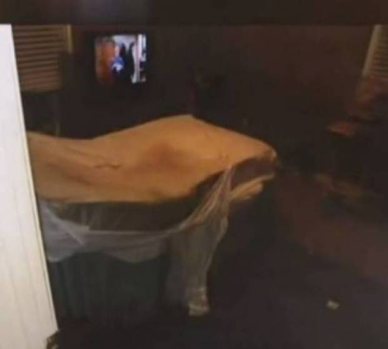 فيديو| سجنت شقيقها مع الصراصير لـ 7 سنوات.. شاهدوا ماذا حلّ به!