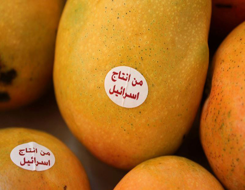 إطلاق حملة " هذا المحل خال من بضائع العدو " في محافظات الاردن إطلاق حملة " هذا المحل خال من بضائع العدو " في محافظات الاردن