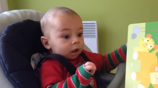 طفل يسمع زئير الأسد لأول مرة ويستعد لمواجهته