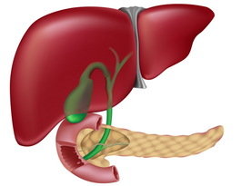 3 خطوات تحميك من إصابة الكبد
