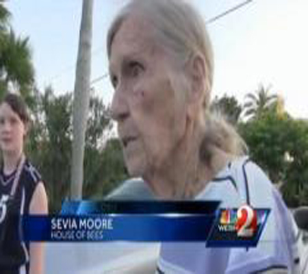 بالصور : 20 ألف نحلة في علية منزل