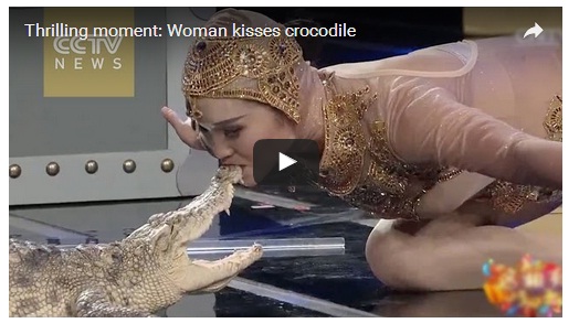 بالفيديو.. فتاة جميلة تعطي تمساحًا قبلة