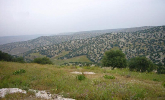 تخريج 100 حافظة للقرآن الكريم بلواء بني كنانة