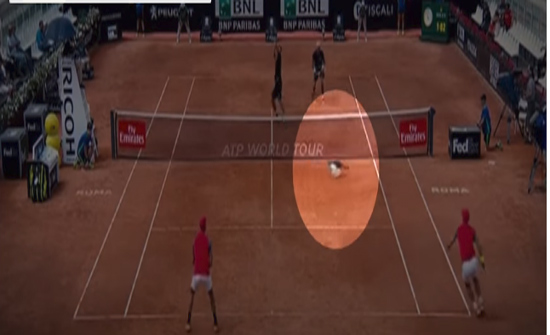 بالفيديو: قط يقتحم ملعب كرة تنس في ايطاليا