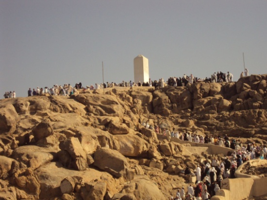 العبادي لـ "المدينة نيوز" : وفاة 3 معتمرين أردنيين وإصابة 7 قرب عرفات العبادي لـ "المدينة نيوز" : وفاة 3 معتمرين أردنيين وإصابة 7 قرب عرفات