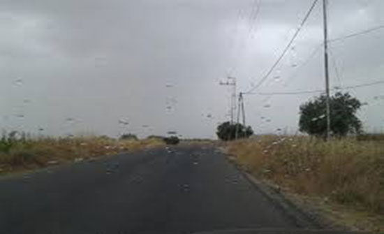 الثلاثاء : اجواء معتدلة وامطار رعدية خفيفة على بعض المناطق الثلاثاء : اجواء معتدلة وامطار رعدية خفيفة على بعض المناطق