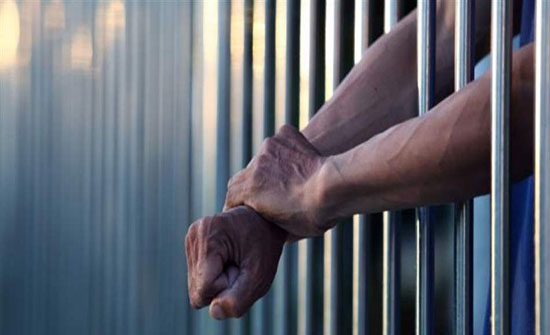 5500 نزيل أفرج عنهم في العفو العام منهم 1600 موقوف إداري