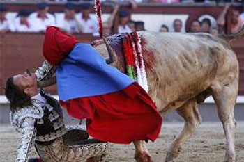 نطحة القرن...