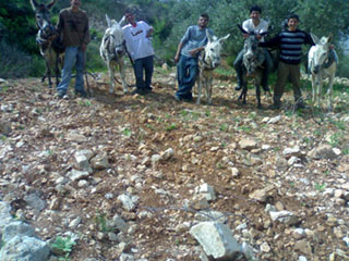 العرس في عموريا والقانون ما رح يتغير.. إنسوا الموضوع