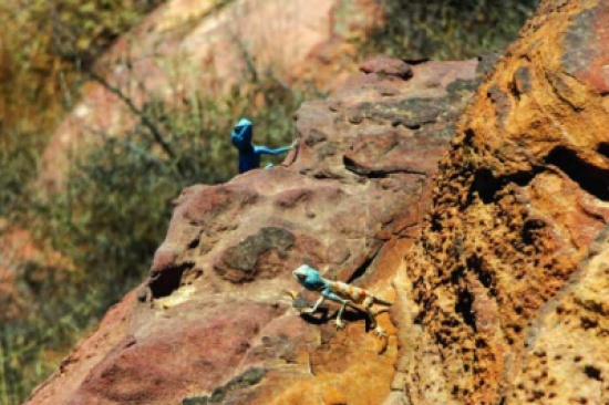 حركة سياحة نشطة في محمية ضانا خلال عطلة عيد الفطر