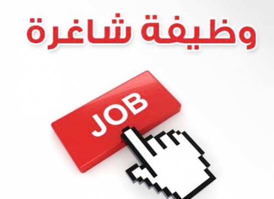 وظائف شاغرة في مؤسسات حكومية - تفاصيل وظائف شاغرة في مؤسسات حكومية - تفاصيل