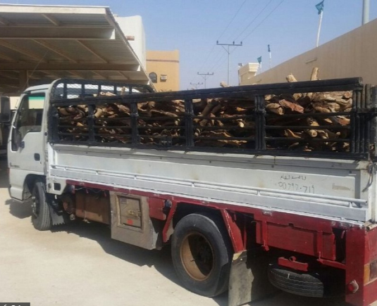 ضبط ست سيارات محملة بالأحطاب ضبط ست سيارات محملة بالأحطاب