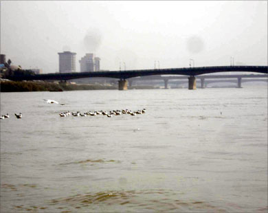 مشروع مائي سوري يقلق العراق 