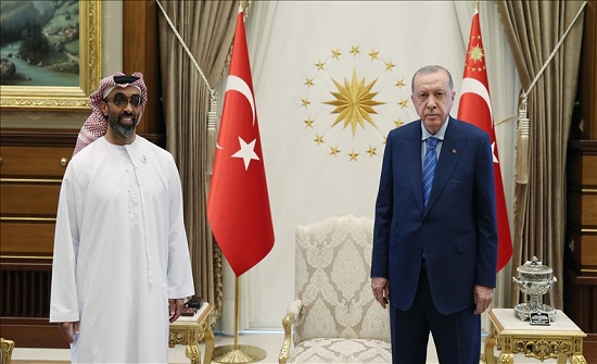 أردوغان يستقبل مستشار الأمن الوطني الإماراتي أردوغان يستقبل مستشار الأمن الوطني الإماراتي