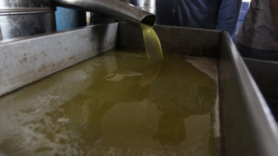 ورشة في أربد عن إدارة المياه العادمة لمعاصر الزيتون