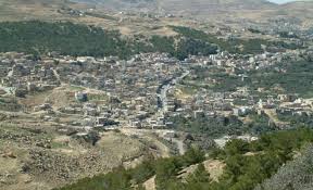 ورشة تدريبية متخصصة حول تشكيل الفسيفساء في غور المزرعه