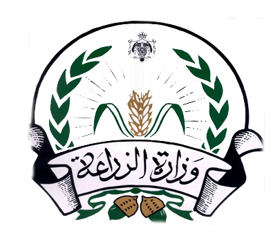 الزراعة تقرر اعادة زراعة اشجار الزيتون المضبوطة في عجلون الزراعة تقرر اعادة زراعة اشجار الزيتون المضبوطة في عجلون