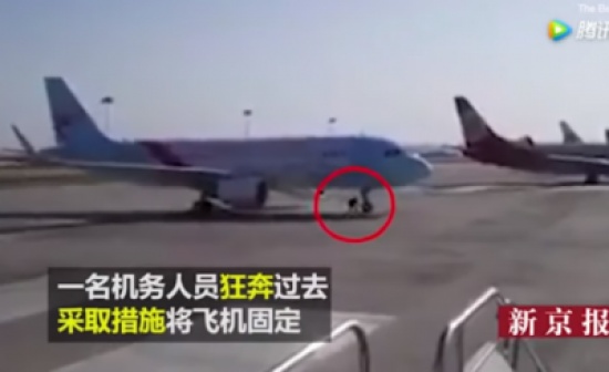 لقطات صادمة لمحاولة عامل وقف طائرة بيديه لهذا السبب!