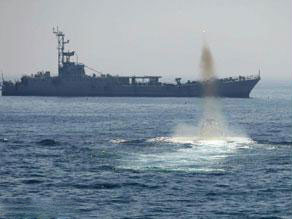 الحرس الإيراني مستعد لمرافقة "قوافل الحرية" إلى غزة