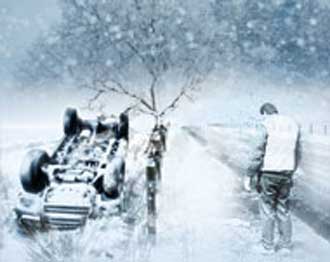 يطالب بتعويض شجرة بعد وفاته 