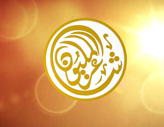 ابناء الكرك ينظمون حملة لدعم الشاعر المعايطه بشاعر المليون