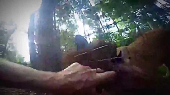 شاهد: ماذا حدث لشاب أدخل يده في قفص الأسود