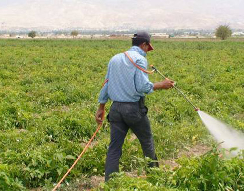 بحث زيادة حجم الصادرات الزراعية الى الولايات المتحدة بحث زيادة حجم الصادرات الزراعية الى الولايات المتحدة