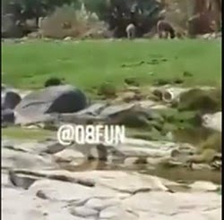 بالفيديو ..سعودي يمتلك مزرعة زارها الرسول وغير اسمها من "غبرة" إلى "خضرة" بالفيديو ..سعودي يمتلك مزرعة زارها الرسول وغير اسمها من "غبرة" إلى "خضرة"
