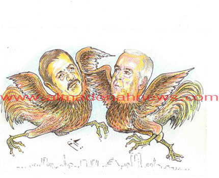 صراع الديكة بين المعاني والكركي .. من يربح ؟ 