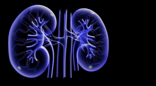 5 أسباب لتلف الكلى يهمك معرفتها 5 أسباب لتلف الكلى يهمك معرفتها