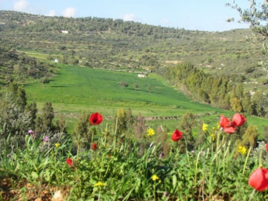 إنخفاض طفيف على درجات الحرارة .. الأحد إنخفاض طفيف على درجات الحرارة .. الأحد