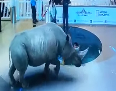 عرض في دبي مول بتقنية 7D !