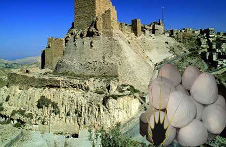 مقلب الجميد الكركي والسمن البلقاوي !