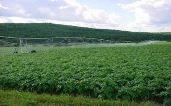 التوقيع على مذكرة تعاون زراعي فنى وعلمي بين الاردن ومصر